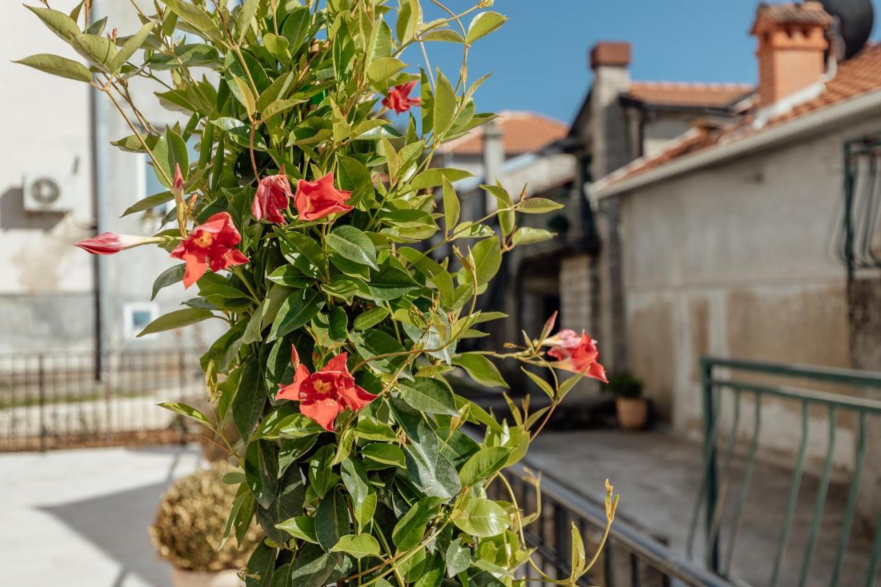 Boka Apartment 6 Herceg Novi Esterno foto